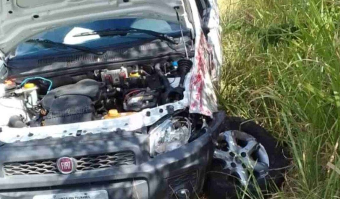 Colisão entre picape e ônibus deixa mulher ferida na BR-104, em União dos Palmares