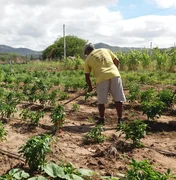 Agricultura informa sobre prorrogação do prazo para inscrição no Garantia-Safra 2024/2025