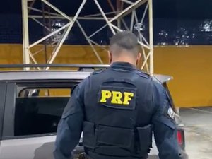 PRF prende dois homens e resgata centenas de aves silvestres na BR 423