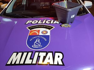 Mulher denuncia plantação de maconha do ex-companheiro no Benedito Bentes