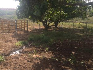 Arapiraca: Defensoria pede suspensão de cobrança indevida de IPTU para propriedade rural