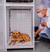 Maior programa de saúde animal de Arapiraca chega à Canafístula neste sábado (8)