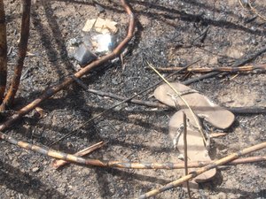 Polícia Científica encontra vestígios que podem ajudar na identificação de ossada achada em Coruripe