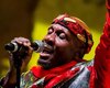 Morre o cantor jamaicano Jimmy Cliff aos 81 anos