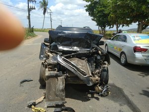 Colisão na Rodovia AL-115 é provocada após animal na pista