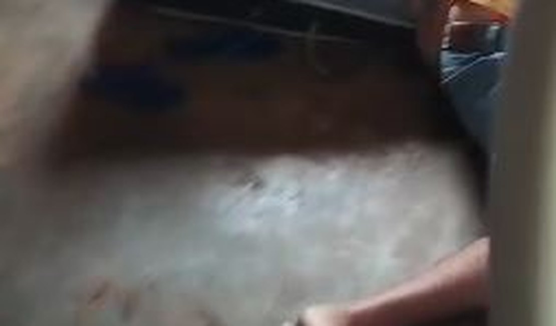 Chacina na zona rural de Estrela de Alagoas faz, pelo menos, cinco vítimas