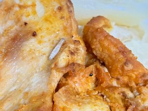 Paciente relata presença de larvas em comida servida na UPA Benedito Bentes