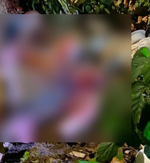 Homem é executado a tiros às margens da linha férrea em Arapiraca