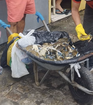 Após várias advertências, Prefeitura de Penedo apreende pescados impróprios na feira livre