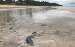 Mancha escura apareceu também na Praia de Japaratinga