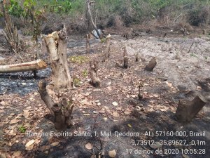 Batalhão de Polícia Ambiental flagra crimes ambientais em Marechal Deodoro