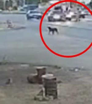 Dupla atropelada em faixa de pedestre na AL-101 Sul segue internada no Hospital Geral do Estado