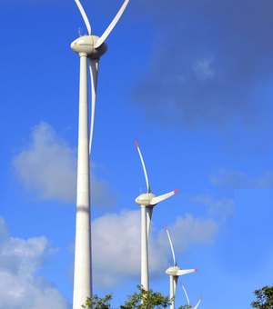 MEC quer ampliar oferta de cursos na área de energia renovável