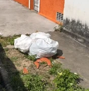 Bebê recém-nascido é encontrado morto dentro de sacola plástica em Delmiro Gouveia