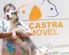 Pet Amigo atenderá bairro Paraíso neste mês de junho
