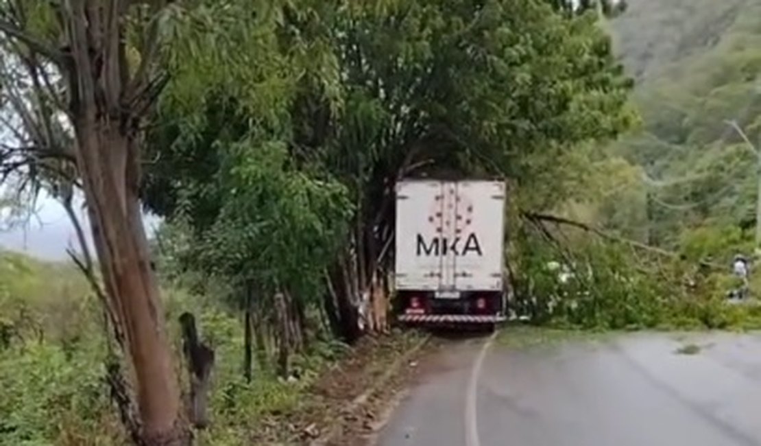 Caminhão colide em árvore e deixa preso às ferragens na AL-145, em Água Branca