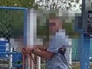 Tutor de cães que invadiram residência e mataram animais domésticos é identificado e será indiciado em Penedo