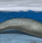 Baleia colossal descoberta no Peru pode ser o animal mais pesado de todos os tempos, aponta estudo
