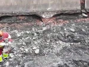 Cachorro preso em fissuras após desabamento de pista em SP é resgatado