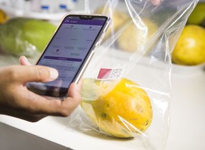 Embrapa desenvolve sensor que avalia grau de maturação de frutas