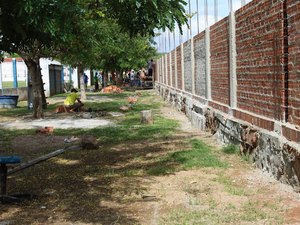 Com participação de voluntários, muro do Estádio Elisão é construído em Pão de Açúcar