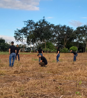 [Vídeo] Grupo de pesquisa de Agronomia da Ufal Arapiraca realiza experimentos com agricultura conservacionista
