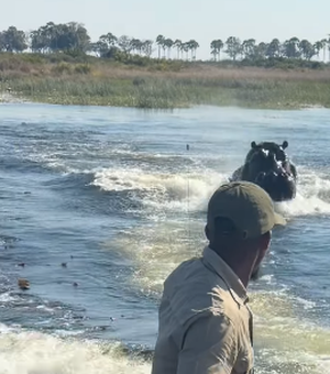 Hipopótamo persegue barco de turistas em rio de Botsuana, no Sul da África