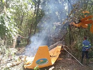 Avião monomotor cai em área de vegetação e pega fogo no interior de SP