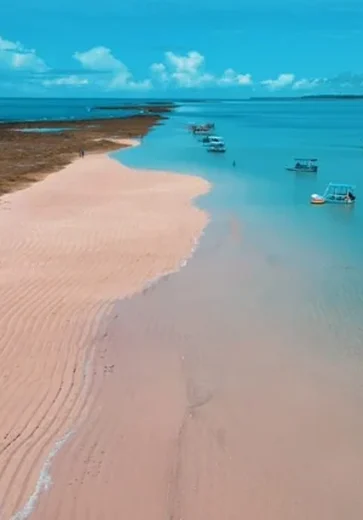 Quatro trechos de praias estão impróprios para banho em Alagoas, diz IMA