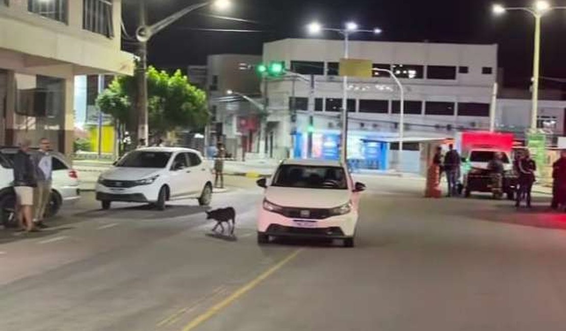 Policial é preso acusado de matar dois colegas de farda dentro de viatura no Sertão de AL
