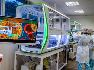 Média móvel de mortes por covid-19 tem recorde neste domingo