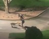 Jovem é cercada por cães no meio da rua em Arapiraca; vídeo registra momento