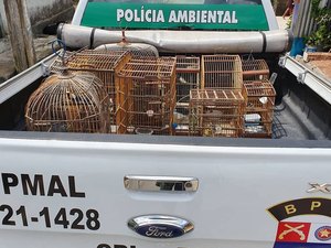 BPA realiza operação de combate ao tráfico, venda e cativeiro de animais silvestres