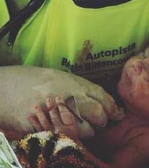 Bebê que nasceu em acidente recebe alta e vai para casa dos avós