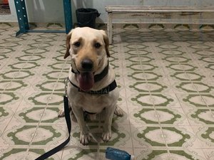 Homem é preso com 14 bombinhas de maconha em Craíbas