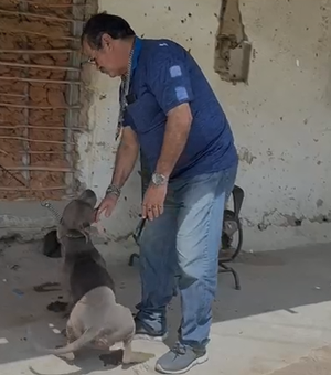 Após denúncia, Polícia Civil resgata cães vítimas de maus-tratos em Dois Riachos