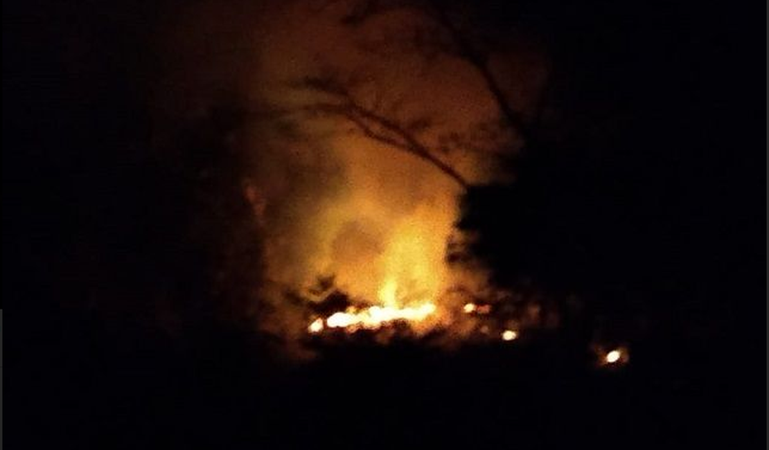 Incêndio destroi vegetação no Alto Sertão de Alagoas 