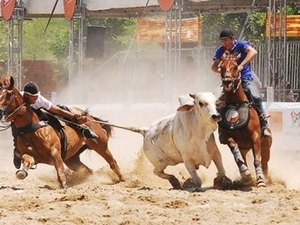 Justiça quer impedir realização da 12ª Vaquejada do Parque Divina Luz