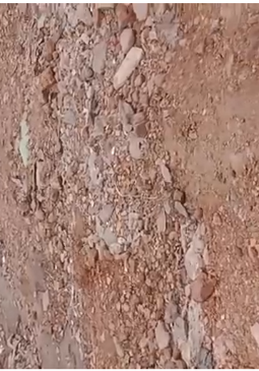 [Vídeo] Moradora denuncia rua esburacada no bairro Capiatã, em Arapiraca