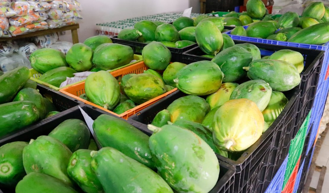 Prefeitura de Palmeira adquire toneladas de alimentos da agricultura familiar para a merenda da rede pública de ensino