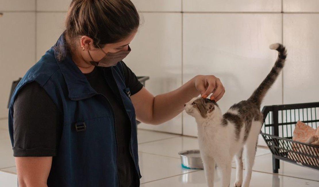 Gabinete da Causa Animal cria Central de Animais Achados e Perdidos