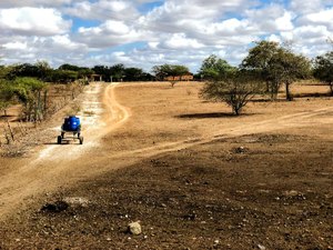 Sertão alagoano é a região do estado com menor número de mortes pela Covid-19