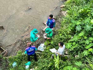 MPF acompanha inspeção na Barra de Santo Antônio após mortandade de peixes