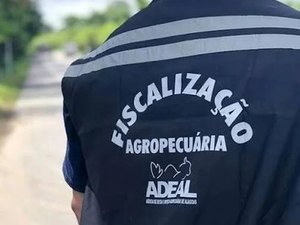 Adeal abre concurso com 20 vagas imediatas e salário de R$ 7 mil em Alagoas