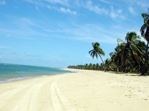 Feriado da Nossa Senhora da Conceição será de sol em Maceió