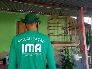 IMA apreende 290 aves e aplica R$ 141 mil em multas na APA de Murici