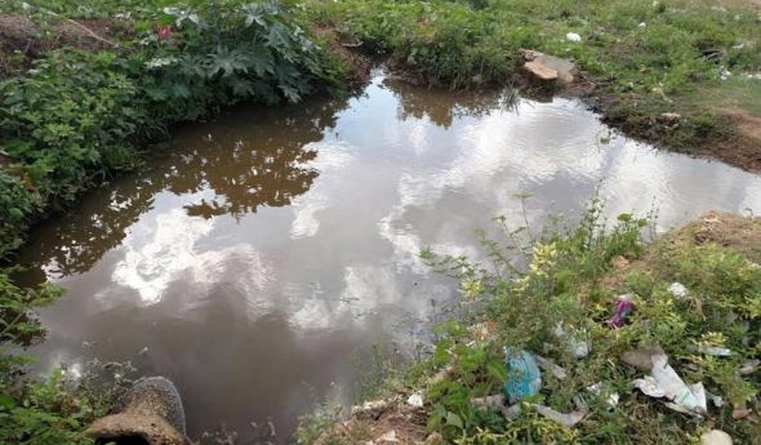 Casal é multada em mais de R$ 6 mi por irregularidades