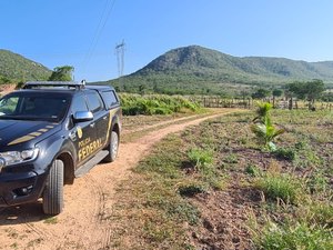 Polícia Federal desencadeia operação policial em Cacimbinhas