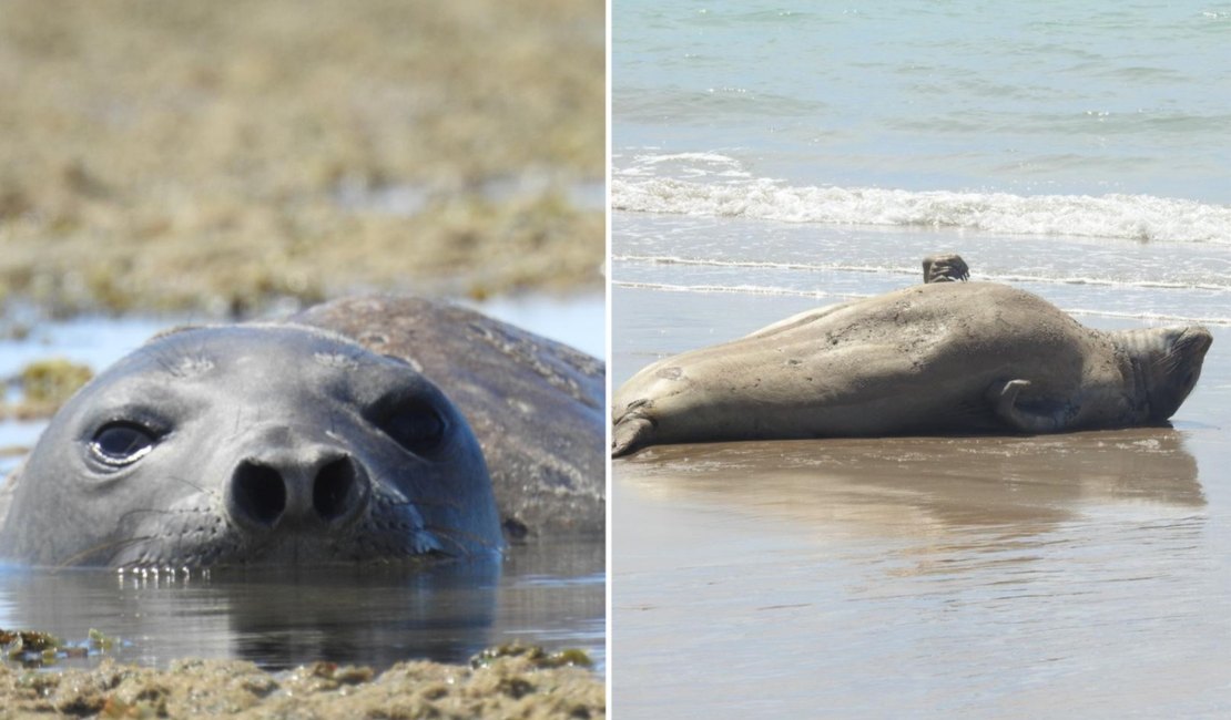 Morte de Leôncio pode gerar pena de apenas um ano e investigação não começou