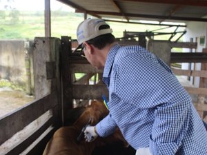 Raiva Animal: Adeal alerta sobre a importância da vacinação dos animais